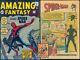 Amazing Fantasy #15 Coverless/Inc Stan Lee Signed! Last Chance to Make Offer