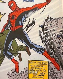 Amazing Fantasy 15 Wall Poster Signed By Stan Lee