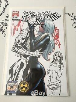 Amazing spiderman 606 sketch signed by stan lee j scott campbell