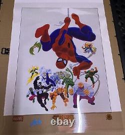 Marvel Spider-Man Acetate Cel Lithograph Signed Stan Lee Dynamic Forces 18X24