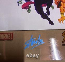 Marvel Spider-Man Acetate Cel Lithograph Signed Stan Lee Dynamic Forces 18X24