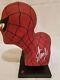 SIGNED BY STAN LEE SPIDER-MAN LIFE SIZE BUST HEAD By ALEX ROSS STATUE MARVEL