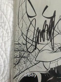 Signed Stan Lee /c Ampbell Spider-gwen #2 J. Scott Campbell Sketch Variant