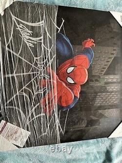 Spider-Man canvas signed by Stan lee