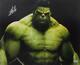 Stan Lee Authentic Signed The Hulk 16X20 Photo Marvel Comics PSA/DNA 2
