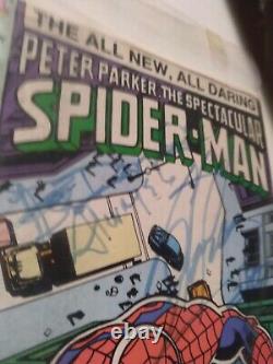 Stan Lee Autographed Peter Parker, The Spectacular Spider-Man #114