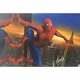 Stan Lee Autographed Signed Spider Man Canvas STAN Hologram & Photo Proof